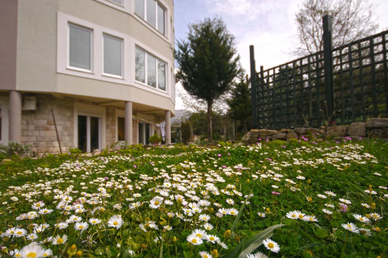 Mirta Apartments Family Farm 부드바 외부 사진